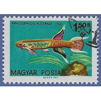 Hungary #1444 1962 CTO