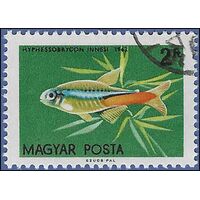 Hungary #1445 1962 CTO