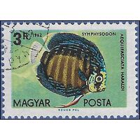 Hungary #1446 1962 CTO