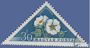 Hungary #1196 1958 CTO