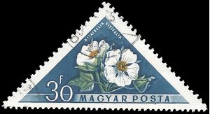 Hungary #1196 1958 CTO