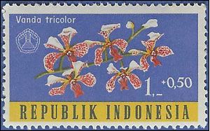 Indonesia #B146 1962 Mint NH