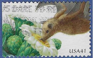 #4155 41c Seguaro Bat Booklet Single Ty I 2007 Used