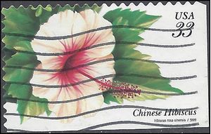 #3313 33c Tropical Flowers Chinese Hibiscus 1999 Used