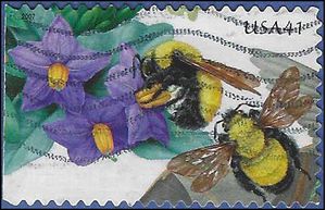 #4153 41c Purple Nightshade, Morrisons Bumblebee 2007 Used