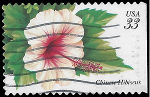 #3313 33c Tropical Flowers Chinese Hibiscus 1999 Used