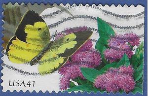 #4156 41c Southern Dogface Butterfly Booklet Single Ty I 2007 Used