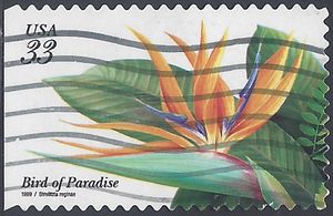 #3310 33c Tropical Flowers Bird of Paradise 1999 Used