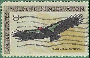#1430 8c Wildlife Conservation California Condor 1971 Used