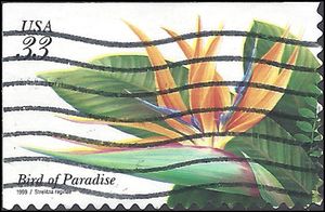 #3310 33c Tropical Flowers Bird of Paradise 1999 Used
