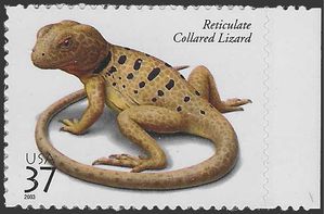 #3816 37c Reptiles and Amphibians Reticulate Collared Lizard 2003 Mint NH