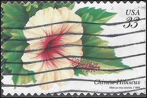 #3313 33c Tropical Flowers Chinese Hibiscus 1999 Used
