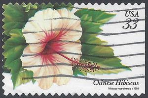 #3313 33c Tropical Flowers Chinese Hibiscus 1999 Used