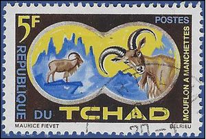 Chad # 106 1965 CTO H