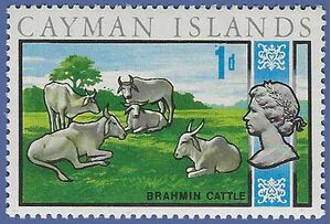 Cayman Islands # 263 1970 Mint LH