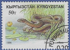 Kyrgyzstan #100 1996 CTO H