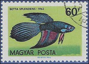Hungary #1440 1962 CTO