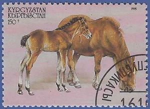 Kyrgyzstan # 76 1995 CTO H