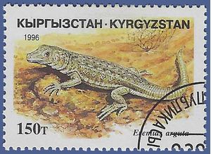 Kyrgyzstan #103 1996 CTO H