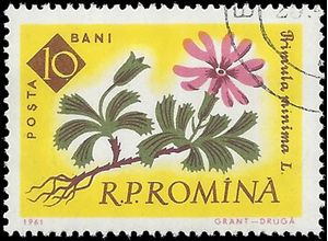 Romania #1459 1961 CTO