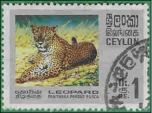 Ceylon #442 1970 Used