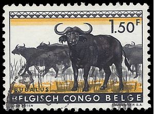 Belgian Congo #309 1959 Used