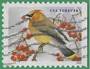 #5127 (47c Forever) Songbirds Cedar Waxwing 2016 Used