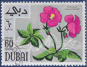 Dubai #MI308 1968 CTO