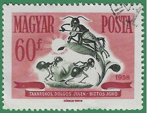 Hungary #1186 1958 CTO