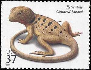#3816 37c Reptiles and Amphibians Reticulate Collared Lizard 2003 Mint NH