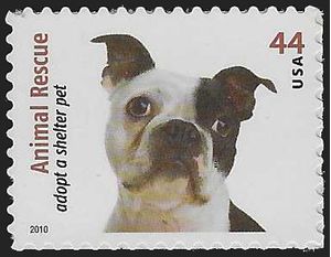 #4459 44c Animal Rescue Boston Terrier 2010 Mint NH