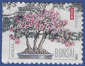 #4622 (45c Forever) Azalea Bonsai Tree 2012 Used