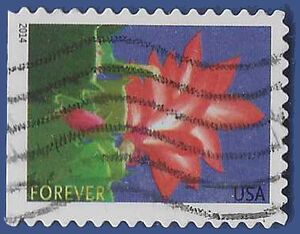 #4865 (49c Forever) Winter Flowers Christmas Cactus Booklet Single 2014 Used