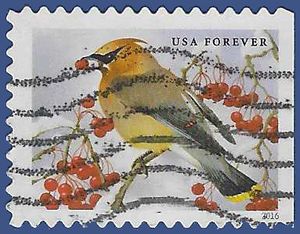#5127 (47c Forever) Songbirds Cedar Waxwing 2016 Used