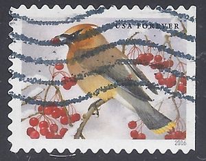 #5127 (47c Forever) Songbirds Cedar Waxwing 2016 Used