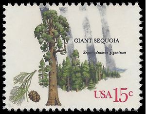 #1764 15c American Trees Giant Sequoia 1978 Used