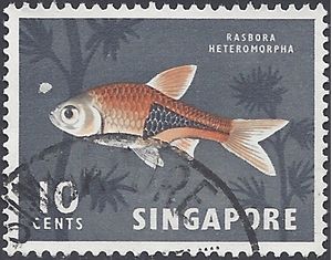 Singapore # 57 1962 Used