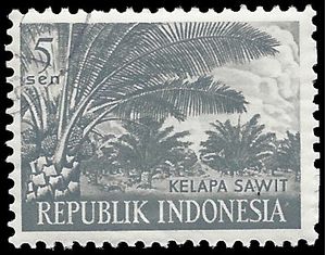 Indonesia # 494 1960 CTO H
