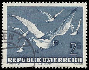 Austria #C56 1950 Used