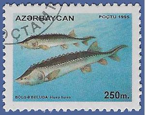 Azerbaijan # 541 1995 CTO H