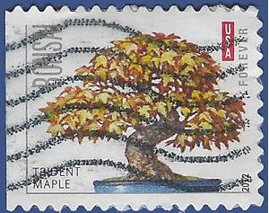 #4621 (45c Forever) Trident Maple Tree 2012 Used