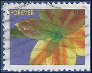 #4862 (49c Forever) Winter Flowers: Amaryllis 2014 Used