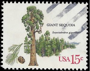 #1764 15c American Trees Giant Sequoia 1978 Used