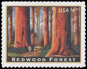 #4378 $4.95 Priority Mail Redwood Forest 2009 Mint NH