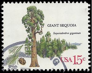 #1764 15c American Trees Giant Sequoia 1978 Used