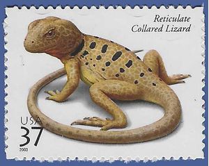 #3816 37c Reptiles and Amphibians Reticulate Collared Lizard 2003 Mint NH