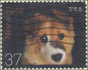 #3671 37c Neuter and Spay - Puppy 2002 Used