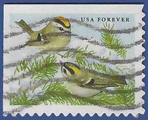 #5126 (47c Forever) Songbirds Golden-Crowned Kinglets 2016 Used