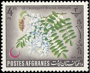 Afghanistan # 616 1962 Mint LH