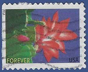 #4865 (49c Forever) Winter Flowers Christmas Cactus Booklet Single 2014 Used
